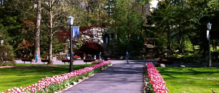 Grotto_University_of_Notre_Dame_Spring 1918 719 featured image