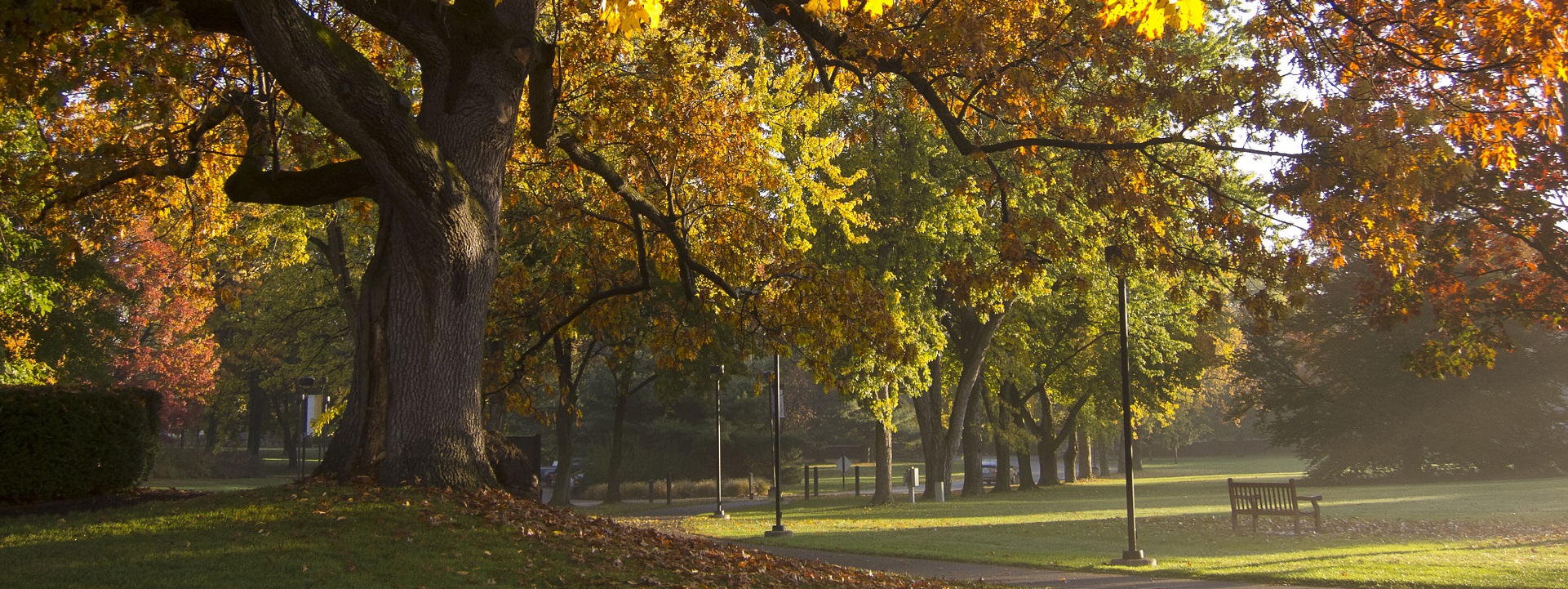 November shows us how beautiful it is to let things go