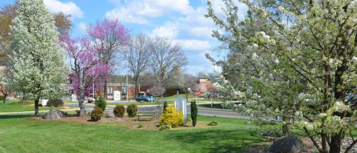Patrick Henry Community College facebook spring 1921 721