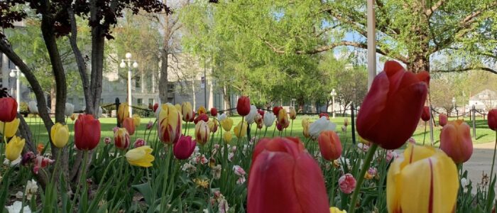EWVDXrpWkAMMsak missouri state garden 1921 721