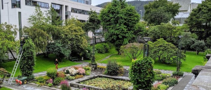 university of bergen norway garden global student staff needs attribution map screen capture by victor sanchez 2019