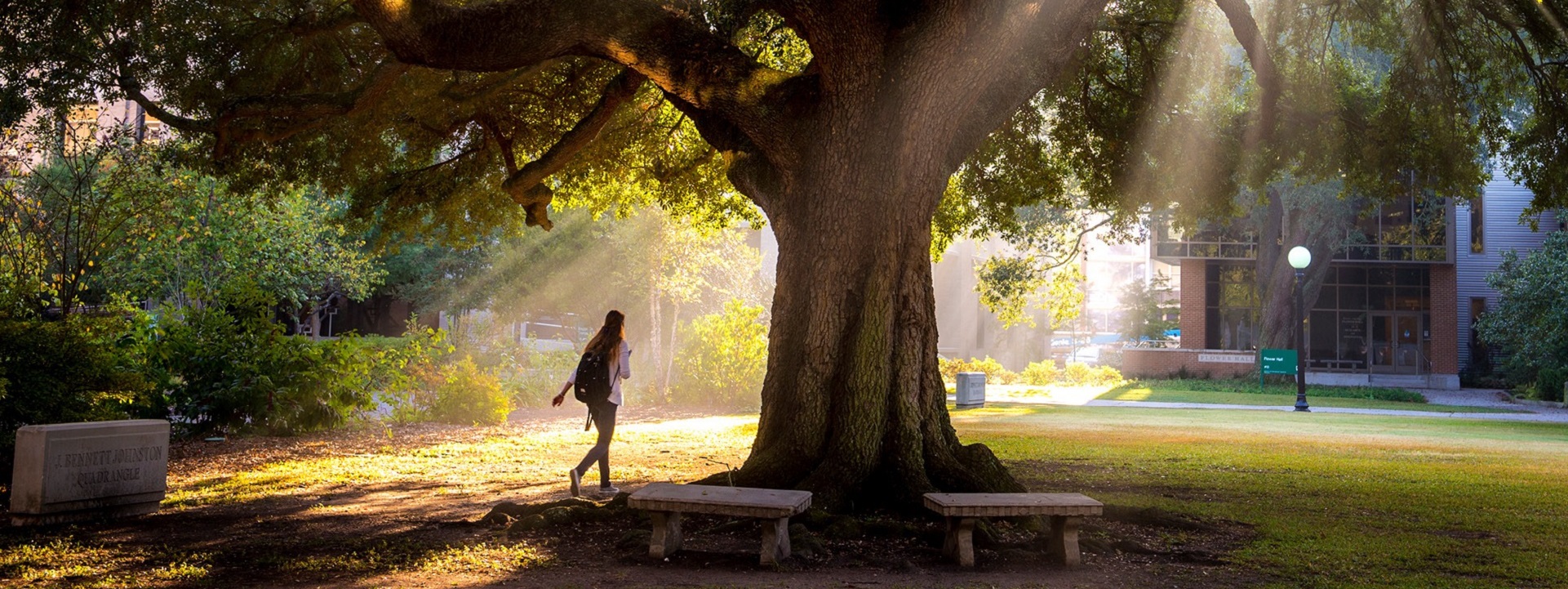 "Sometimes you will never know the value of a moment, until it becomes a memory" - Dr. Seuss