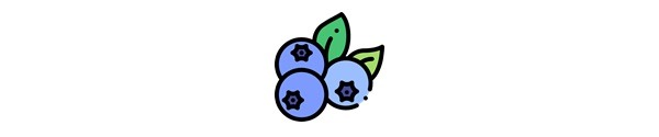 University of Maine Wild Blueberries