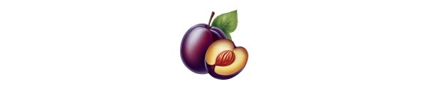 University of Minnesota | Plum Variety Research