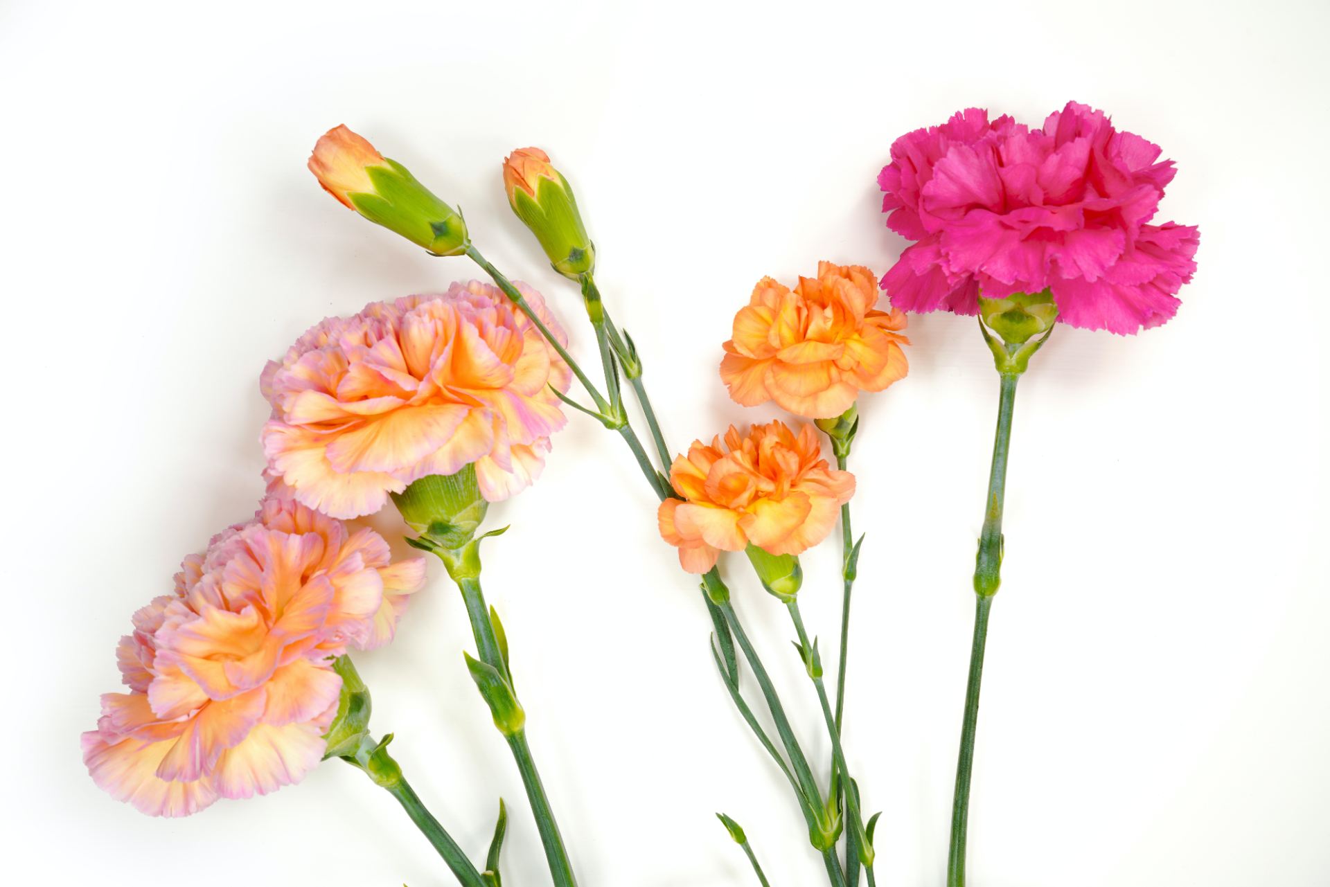 https://studentlife.lincoln.ac.uk/2022/03/27/the-history-of-mothering-sunday/